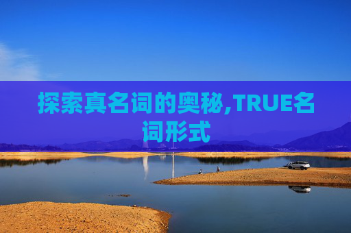 探索真名词的奥秘,TRUE名词形式