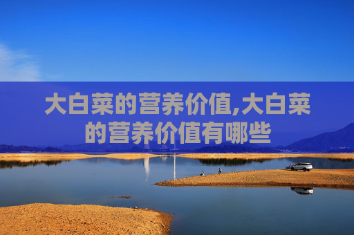 大白菜的营养价值,大白菜的营养价值有哪些