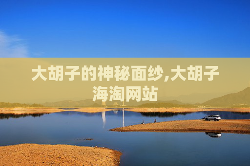 大胡子的神秘面纱,大胡子海淘网站