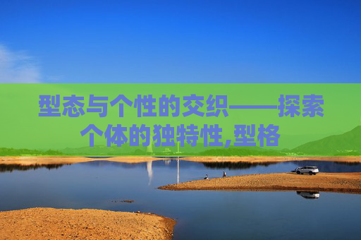 型态与个性的交织——探索个体的独特性,型格