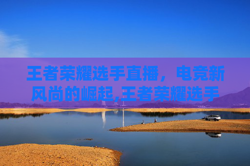 王者荣耀选手直播，电竞新风尚的崛起,王者荣耀选手直播间怎么进