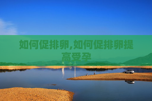 如何促排卵,如何促排卵提高受孕