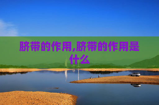 脐带的作用,脐带的作用是什么