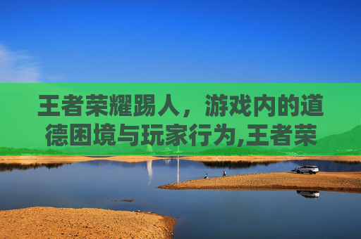 王者荣耀踢人，游戏内的道德困境与玩家行为,王者荣耀踢人机制