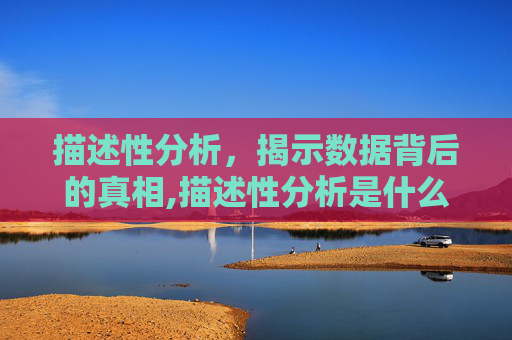 描述性分析，揭示数据背后的真相,描述性分析是什么