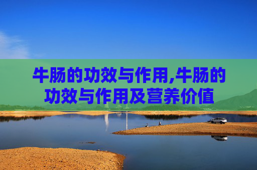 牛肠的功效与作用,牛肠的功效与作用及营养价值