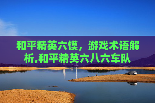 和平精英六馍，游戏术语解析,和平精英六八六车队