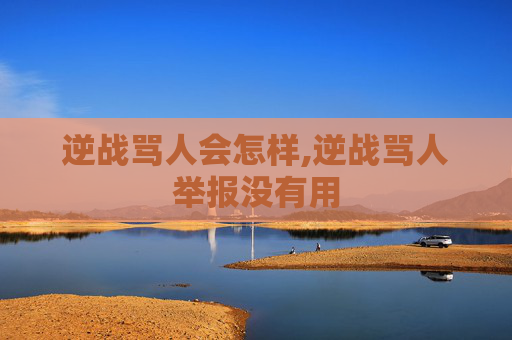 逆战骂人会怎样,逆战骂人举报没有用