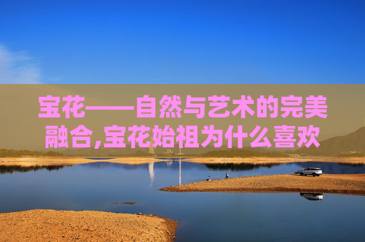 宝花——自然与艺术的完美融合,宝花始祖为什么喜欢韩立