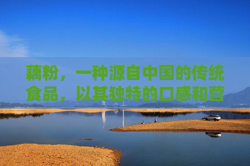 藕粉，一种源自中国的传统食品，以其独特的口感和营养价值而闻名。它不仅是一种美味的小吃，还具有多种健康功效。接下来，我们将探讨藕粉的主要功效。,藕粉有什么功效和营养