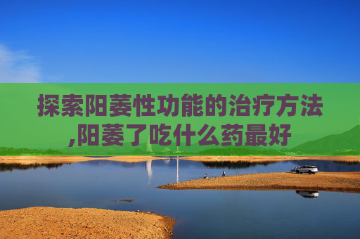 探索阳萎性功能的治疗方法,阳萎了吃什么药最好