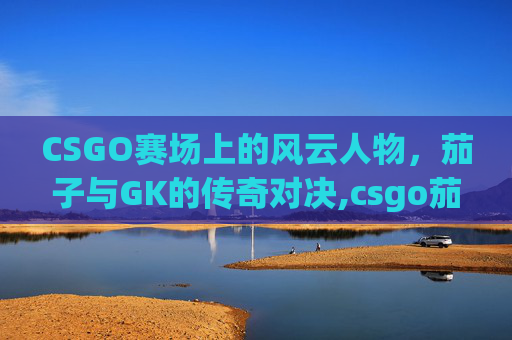CSGO赛场上的风云人物，茄子与GK的传奇对决,csgo茄子个人资料
