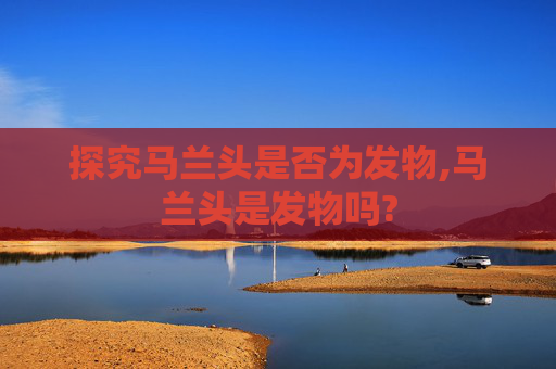 探究马兰头是否为发物,马兰头是发物吗?