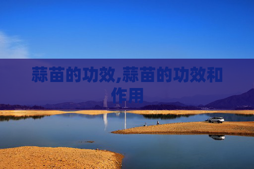 蒜苗的功效,蒜苗的功效和作用