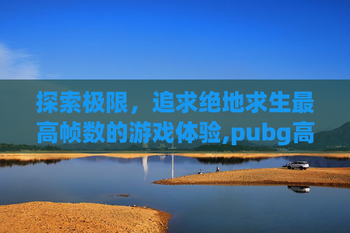 探索极限，追求绝地求生最高帧数的游戏体验,pubg高帧数设置