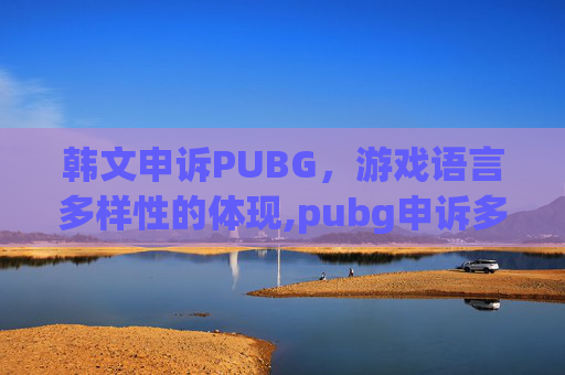 韩文申诉PUBG，游戏语言多样性的体现,pubg申诉多久出结果