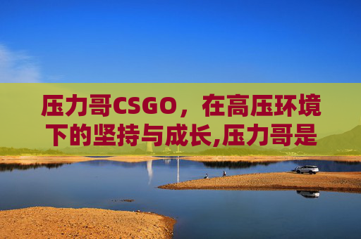 压力哥CSGO，在高压环境下的坚持与成长,压力哥是什么意思