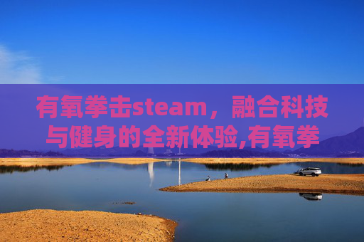 有氧拳击steam，融合科技与健身的全新体验,有氧拳击游戏