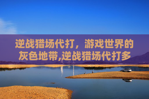 逆战猎场代打，游戏世界的灰色地带,逆战猎场代打多少钱