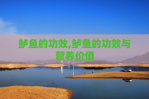鲈鱼的功效,鲈鱼的功效与营养价值