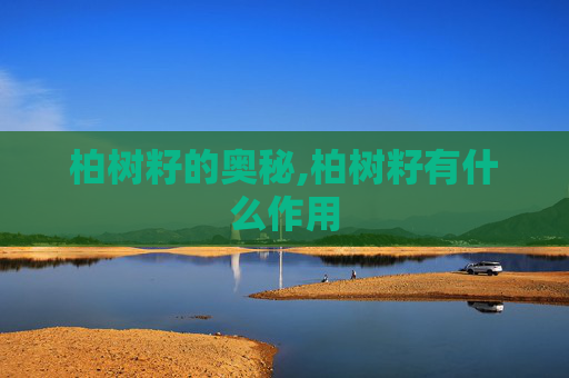 柏树籽的奥秘,柏树籽有什么作用