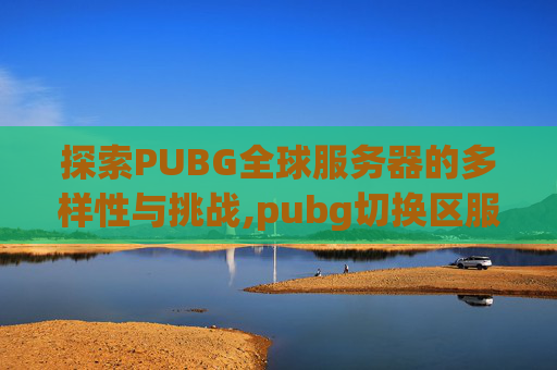 探索PUBG全球服务器的多样性与挑战,pubg切换区服
