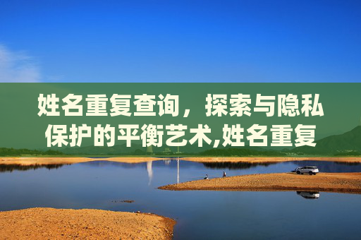 姓名重复查询，探索与隐私保护的平衡艺术,姓名重复查询系统
