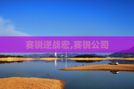 赛锐逆战宏,赛锐公司