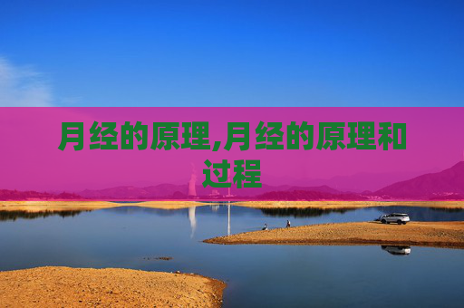 月经的原理,月经的原理和过程