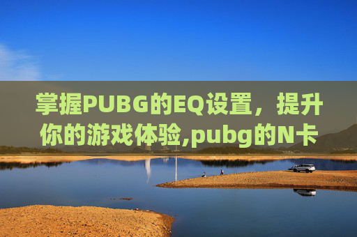 掌握PUBG的EQ设置，提升你的游戏体验,pubg的N卡设置