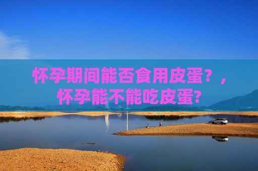 怀孕期间能否食用皮蛋？,怀孕能不能吃皮蛋?