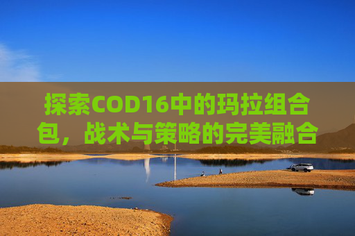 探索COD16中的玛拉组合包，战术与策略的完美融合,cod16玛拉组合包