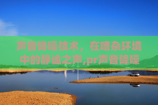 声音降噪技术，在嘈杂环境中的静谧之声,pr声音降噪怎么调