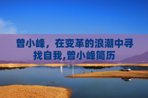 曾小峰，在变革的浪潮中寻找自我,曾小峰简历