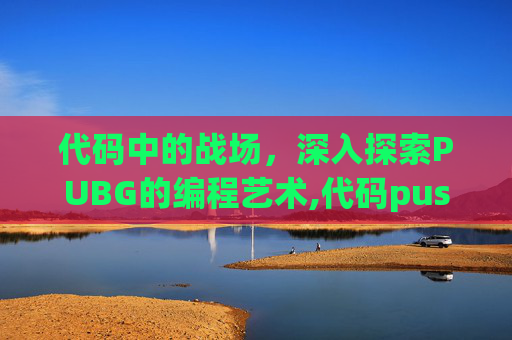 代码中的战场，深入探索PUBG的编程艺术,代码push是什么意思