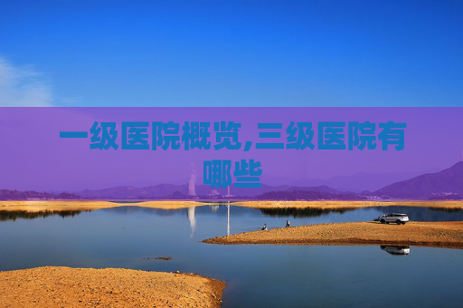一级医院概览,三级医院有哪些