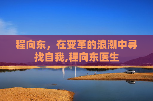 程向东，在变革的浪潮中寻找自我,程向东医生