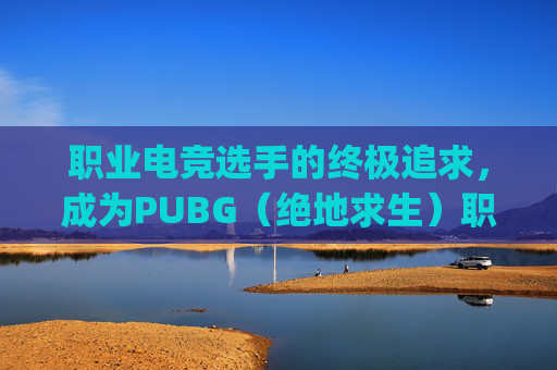 职业电竞选手的终极追求，成为PUBG（绝地求生）职业最小,pubg职业数据一览表