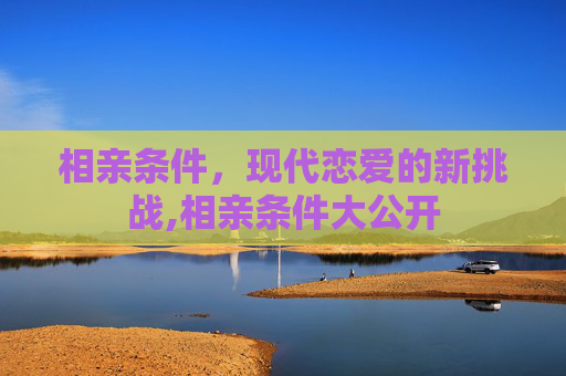 相亲条件，现代恋爱的新挑战,相亲条件大公开