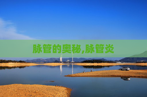 脉管的奥秘,脉管炎