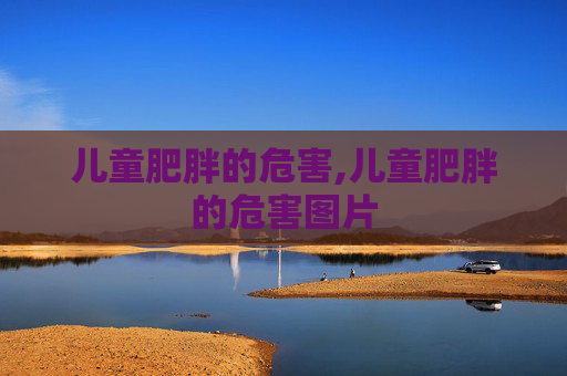 儿童肥胖的危害,儿童肥胖的危害图片