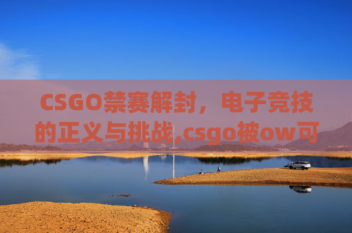 CSGO禁赛解封，电子竞技的正义与挑战,csgo被ow可能解封吗
