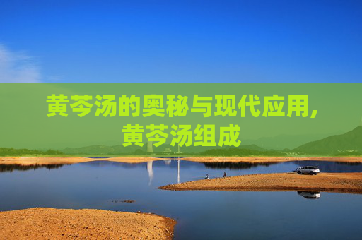 黄芩汤的奥秘与现代应用,黄芩汤组成