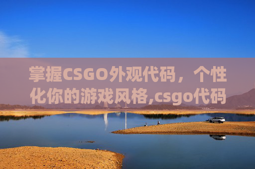 掌握CSGO外观代码，个性化你的游戏风格,csgo代码在哪里看
