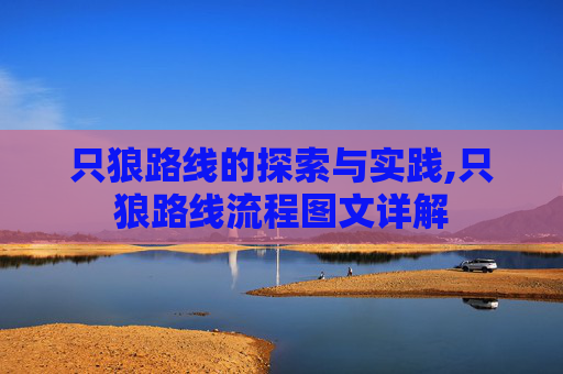 只狼路线的探索与实践,只狼路线流程图文详解