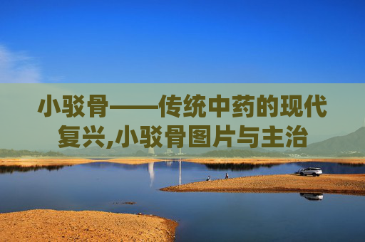 小驳骨——传统中药的现代复兴,小驳骨图片与主治