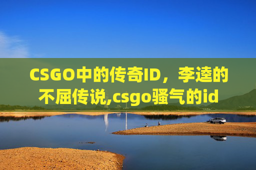 CSGO中的传奇ID，李逵的不屈传说,csgo骚气的id