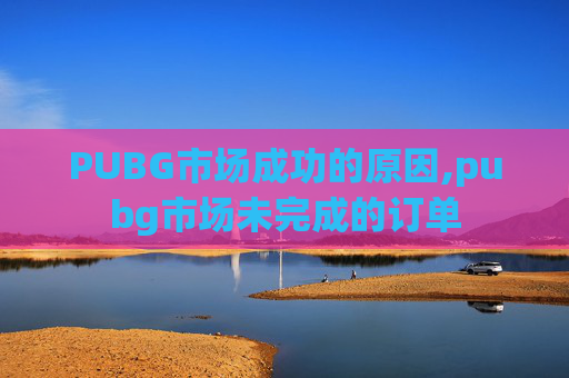 PUBG市场成功的原因,pubg市场未完成的订单
