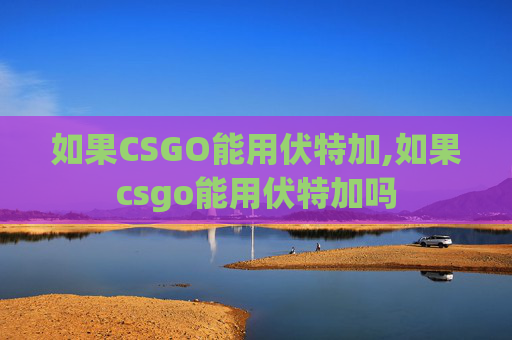 如果CSGO能用伏特加,如果csgo能用伏特加吗