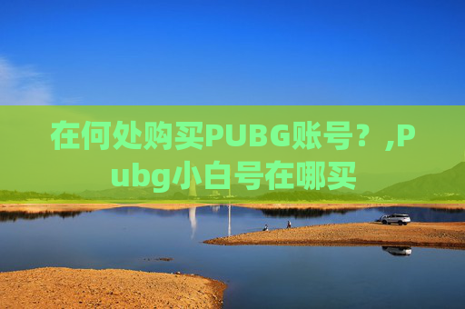 在何处购买PUBG账号？,Pubg小白号在哪买